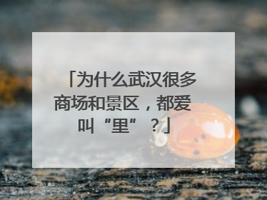 为什么武汉很多商场和景区，都爱叫“里”？