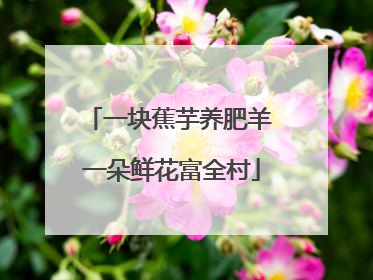 一块蕉芋养肥羊 一朵鲜花富全村
