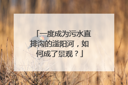 一度成为污水直排沟的滏阳河，如何成了景观？