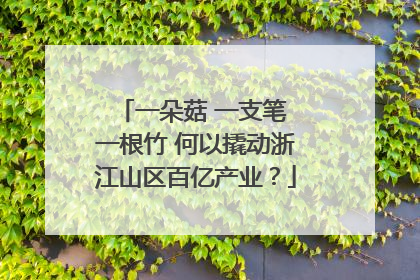 一朵菇 一支笔 一根竹 何以撬动浙江山区百亿产业？