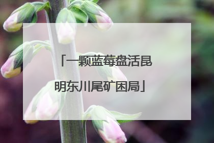 一颗蓝莓盘活昆明东川尾矿困局