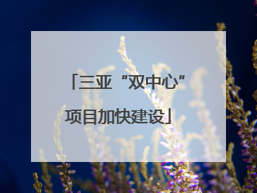 三亚“双中心”项目加快建设