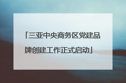 三亚中央商务区党建品牌创建工作正式启动