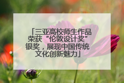 三亚高校师生作品荣获“伦敦设计奖”银奖，展现中国传统文化创新魅力