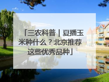 三农科普｜夏播玉米种什么？北京推荐这些优秀品种