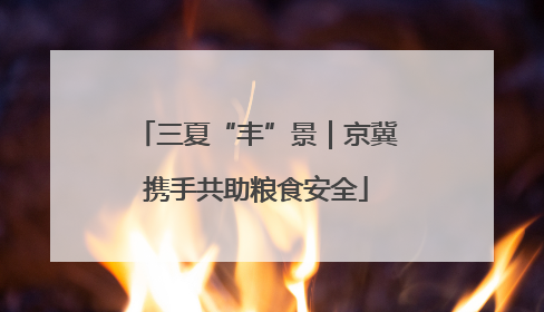 三夏“丰”景｜京冀携手共助粮食安全