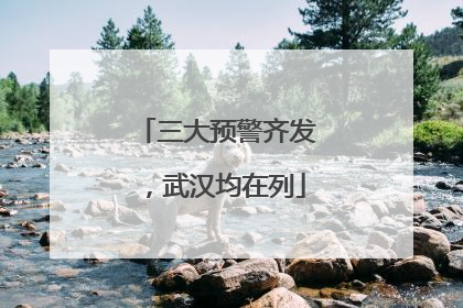 三大预警齐发，武汉均在列