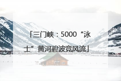 三门峡：5000“泳士”黄河碧波竞风流