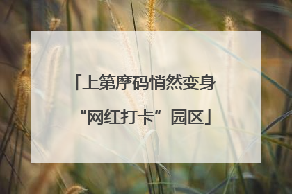 上第摩码悄然变身“网红打卡”园区