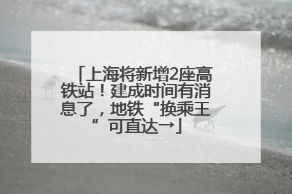 上海将新增2座高铁站！建成时间有消息了，地铁“换乘王”可直达→