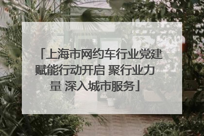 上海市网约车行业党建赋能行动开启 聚行业力量 深入城市服务