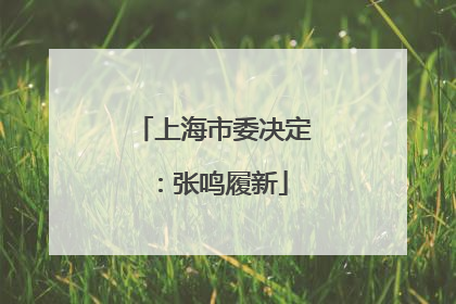 上海市委决定：张鸣履新