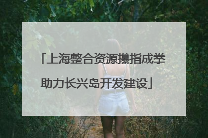 上海整合资源攥指成拳助力长兴岛开发建设
