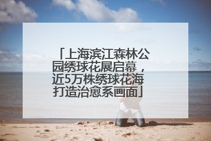 上海滨江森林公园绣球花展启幕，近5万株绣球花海打造治愈系画面