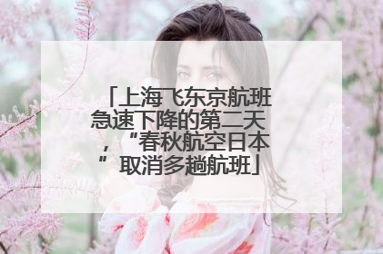 上海飞东京航班急速下降的第二天，“春秋航空日本”取消多趟航班