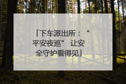 下车派出所：“平安夜巡” 让安全守护看得见