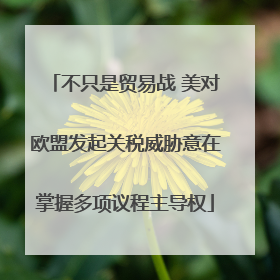 不只是贸易战 美对欧盟发起关税威胁意在掌握多项议程主导权