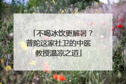 不喝冰饮更解暑？普陀这家社卫的中医教授温凉之道