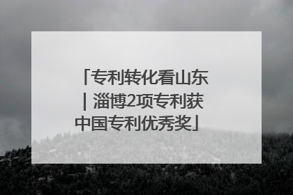 专利转化看山东｜淄博2项专利获中国专利优秀奖