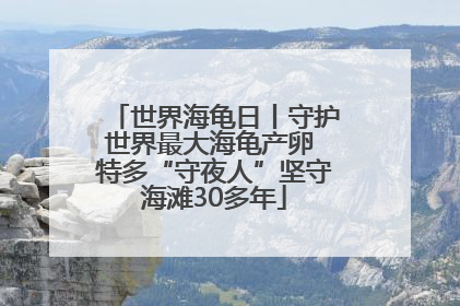 世界海龟日丨守护世界最大海龟产卵 特多“守夜人”坚守海滩30多年