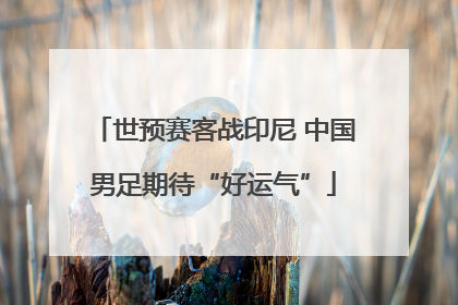 世预赛客战印尼 中国男足期待“好运气”