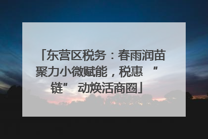 东营区税务：春雨润苗聚力小微赋能，税惠 “链” 动焕活商圈