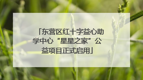 东营区红十字益心助学中心“星星之家”公益项目正式启用