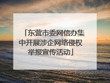 东营市委网信办集中开展涉企网络侵权举报宣传活动