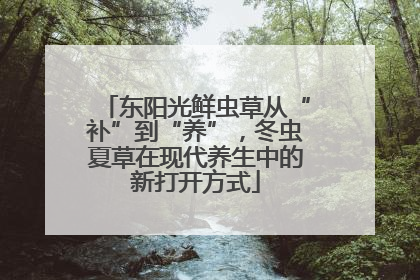 东阳光鲜虫草从“补”到“养”，冬虫夏草在现代养生中的新打开方式