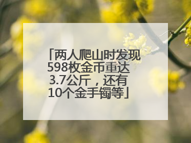 两人爬山时发现598枚金币重达3.7公斤，还有10个金手镯等