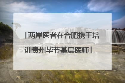 两岸医者在合肥携手培训贵州毕节基层医师