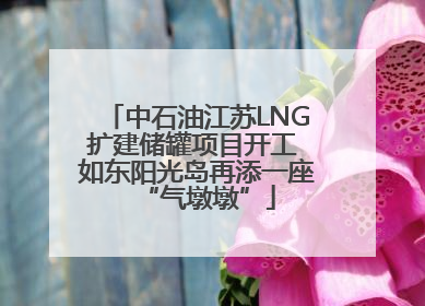 中石油江苏LNG扩建储罐项目开工 如东阳光岛再添一座“气墩墩”