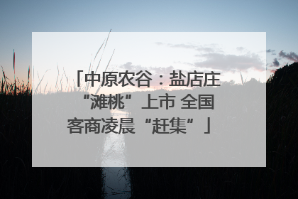 中原农谷：盐店庄“滩桃”上市 全国客商凌晨“赶集”