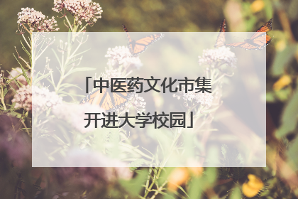 中医药文化市集开进大学校园