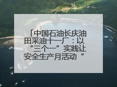 中国石油长庆油田采油十一厂：以“三个一”实践让安全生产月活动“活”起来