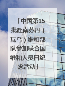 中国第15批赴南苏丹（瓦乌）维和部队参加联合国维和人员日纪念活动
