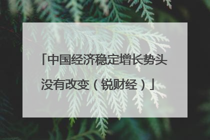 中国经济稳定增长势头没有改变（锐财经）