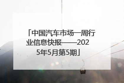 中国汽车市场一周行业信息快报——2025年5月第5期