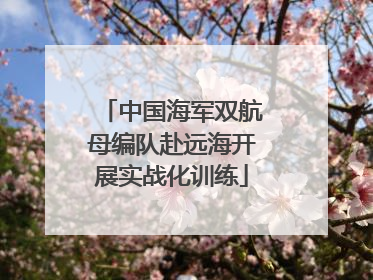 中国海军双航母编队赴远海开展实战化训练