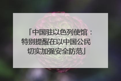 中国驻以色列使馆：特别提醒在以中国公民切实加强安全防范