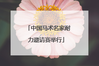 中国马术名家耐力邀请赛举行