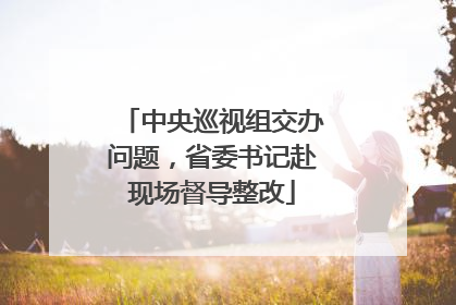 中央巡视组交办问题，省委书记赴现场督导整改