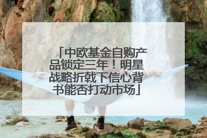 中欧基金自购产品锁定三年！明星战略折戟下信心背书能否打动市场