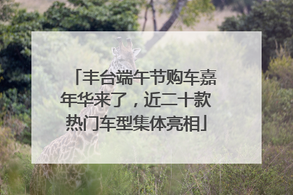 丰台端午节购车嘉年华来了，近二十款热门车型集体亮相