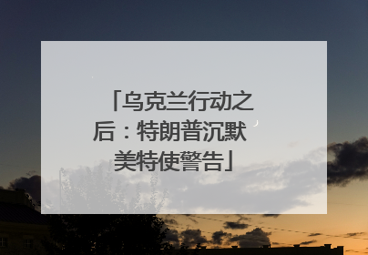 乌克兰行动之后：特朗普沉默 美特使警告