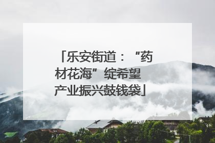 乐安街道：“药材花海”绽希望 产业振兴鼓钱袋