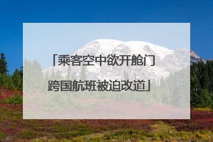 乘客空中欲开舱门 跨国航班被迫改道