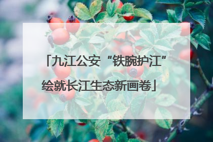 九江公安“铁腕护江”绘就长江生态新画卷
