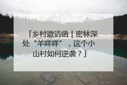 乡村邀请函｜密林深处“羊咩咩”，这个小山村如何逆袭？