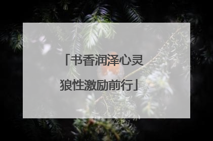 书香润泽心灵 狼性激励前行